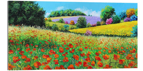 Tableau en plexi-alu Flower meadow in the province