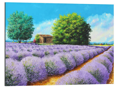 Stampa su alluminio Lavender Lines