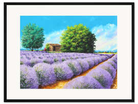 Gerahmter Kunstdruck Lavendel Linien