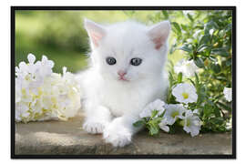 Gerahmter Kunstdruck Weiße Blumen mit weißem Kätzchen