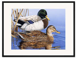 Gerahmter Kunstdruck Mallards