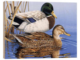 Quadro de madeira Mallards