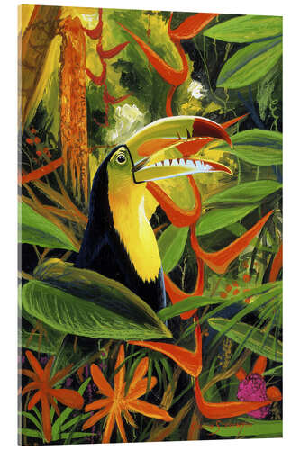 Obraz na szkle akrylowym Toucan colours