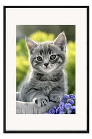 Gerahmter Kunstdruck Katzeneimer