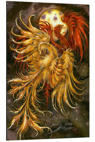 Cuadro de aluminio Phoenix rising
