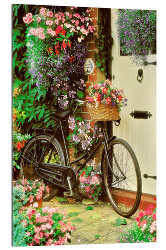 Gallery Print Fahrrad mit Blumen