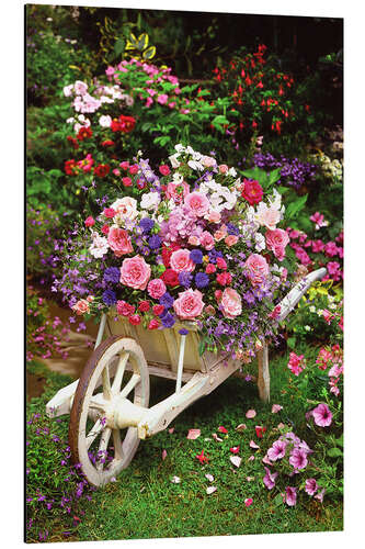 Aluminium print Garden Flowers