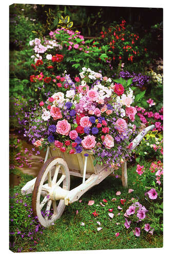 Lienzo Garden Flowers
