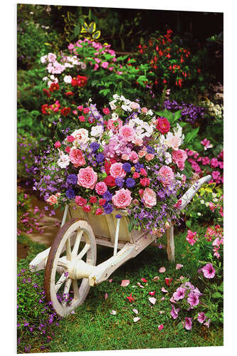 Foam board print Garden Flowers