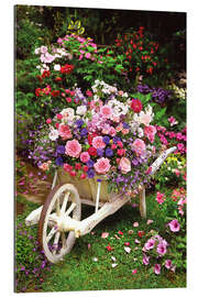 Cuadro de plexi-alu Garden Flowers