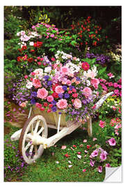 Wall sticker Garden Flowers
