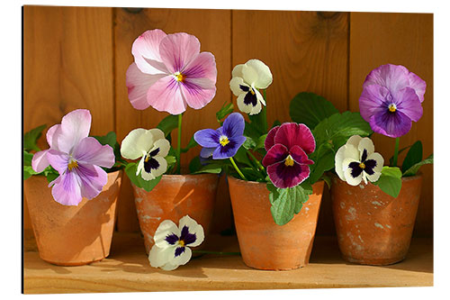 Tableau en aluminium Pots de fleurs