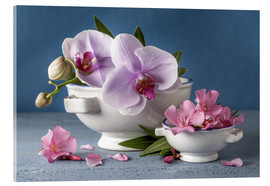 Akryylilasitaulu  Orchids in porcelain shells - Simon Kayne