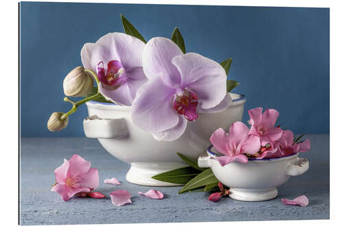 Gallery print Orchids in porcelain shells