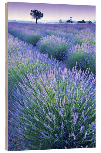 Wood print Lavender Field