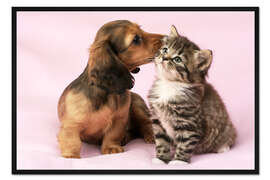 Gerahmter Kunstdruck Dachshund und Kätzchen