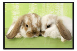Gerahmter Kunstdruck Zwei Kaninchen