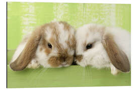 Magnettafel Zwei Kaninchen