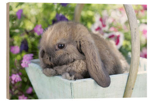 Tableau en bois Lapin dans un panier