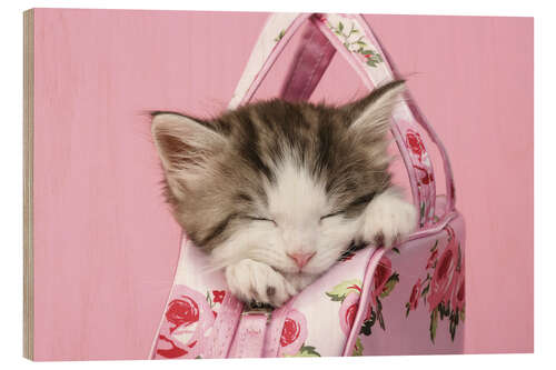 Wood print Sleeping kitten in pink handbag