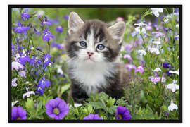 Gerahmter Kunstdruck Kätzchen im Blumengarten
