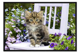 Gerahmter Kunstdruck Garten-Kätzchen