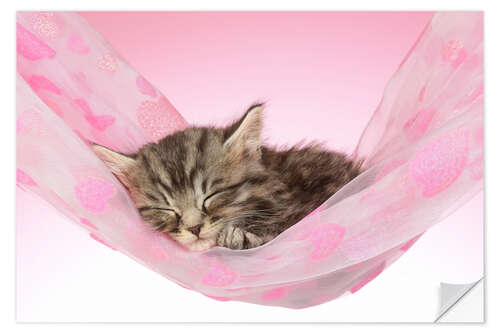 Wall sticker Sleeping Kitten Hammock