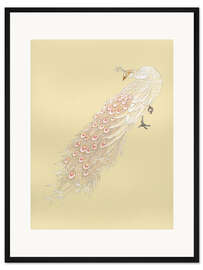 Gerahmter Kunstdruck Der weiße Pfau