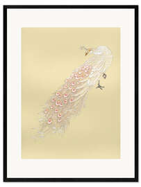Impresión de arte enmarcada White peacock