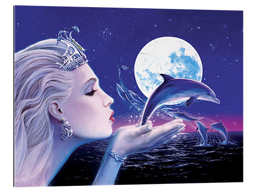 Tableau en plexi-alu Princesse et dauphins