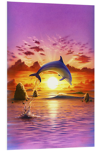 Foam board print Day of the dolphin - sunset