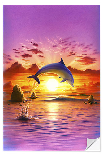 Selvklebende plakat Day of the dolphin - sunset