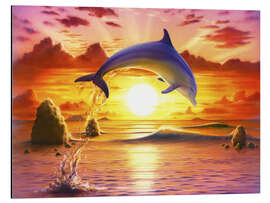 Alubild Day of the dolphin - sunset