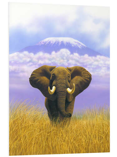 Foam board print Elephant in front of Kilimanjaro