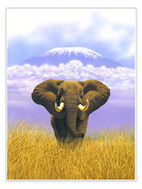 Poster Éléphant devant le Kilimandjaro
