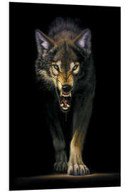 Foam board print Stalking wolf