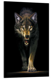 Gallery print Stalking wolf