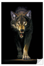 Selvklebende plakat Stalking wolf