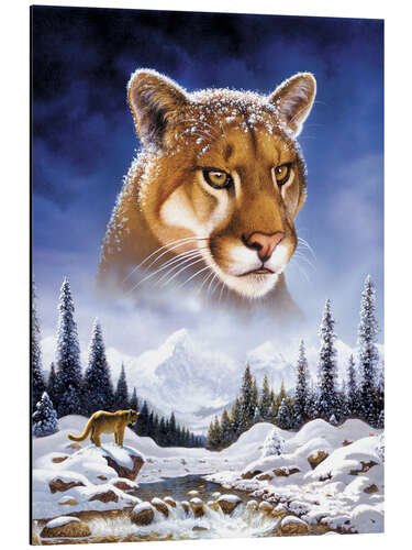 Aluminiumtavla Mountain lion