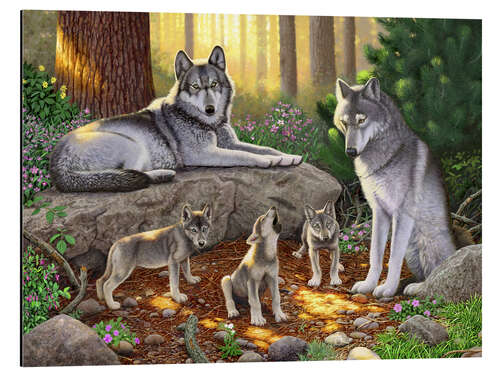 Obraz na aluminium A family of wolves