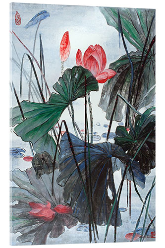 Acrylglasbild Lotus im See