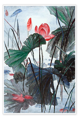 Poster Lotus im See