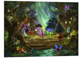 Magnettafel Polarlichter tanzen mit den Feen