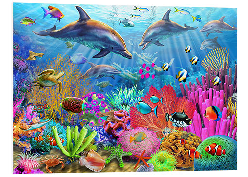 Foam board print Dolphin coral reef