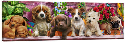 Canvas print Ceaco Puppies