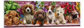 Gallery print Ceaco Puppies