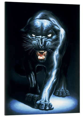 Aluminiumsbilde Black Panther