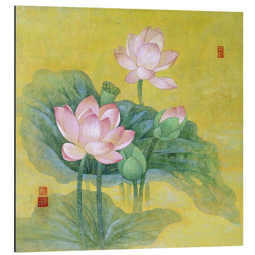 Aluminium print Dream lotus