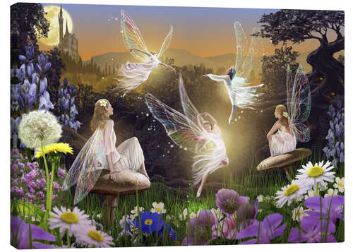 Canvas print Fairy ballet