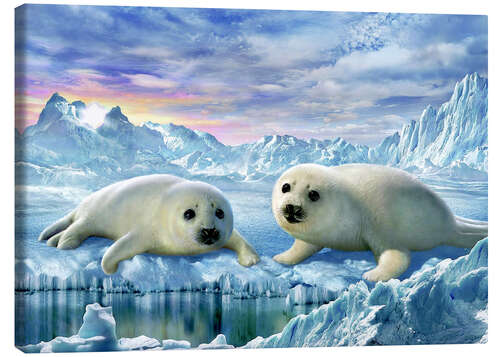 Canvas print Seal pups